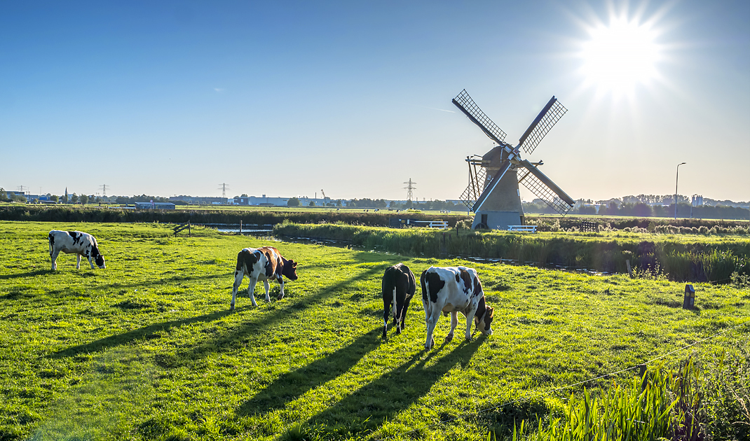  Vanaf het terras van 1612 kijk je uit op de Beemster